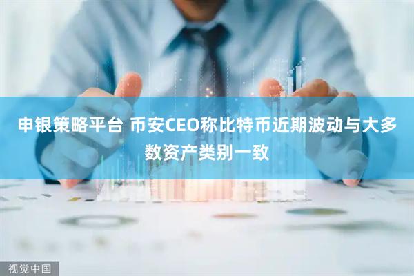 申银策略平台 币安CEO称比特币近期波动与大多数资产类别一致